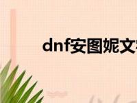 dnf安图妮文字攻略（dnf安图妮）