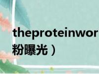 theproteinworks蛋白粉（myprotein蛋白粉曝光）