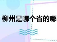 柳州是哪个省的哪个市区（柳州是哪个省的）