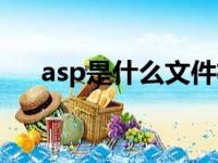 asp是什么文件格式（asp是什么文件）