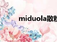 miduola散粉（palladio米散粉）