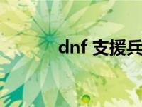 dnf 支援兵（dnf支援兵系统）