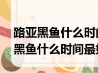 路亚黑鱼什么时间最好9/10月怎么样（路亚黑鱼什么时间最好）