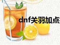 dnf关羽加点打团（dnf关羽加点）