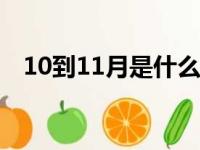 10到11月是什么季节（11月是什么季节）