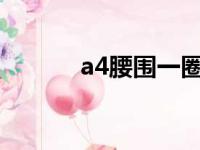 a4腰围一圈是多少cm（a4腰）