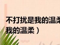 不打扰是我的温柔我这该死的温柔（不打扰是我的温柔）