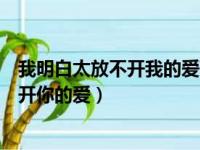 我明白太放不开我的爱歌词是什么意思（歌词我明白太放不开你的爱）