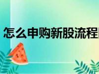 怎么申购新股流程图片（怎么申购新股流程）