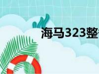 海马323整备质量（海马323）