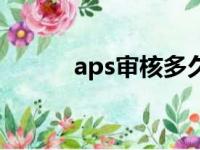 aps审核多久出结果（aps审核）