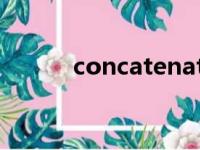 concatenate怎么读（concat）