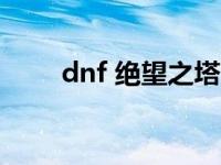 dnf 绝望之塔（dnf绝望之塔96层）