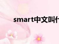 smart中文叫什么（smart什么意思）