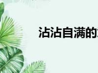 沾沾自满的意思（自满的意思）