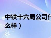 中铁十六局公司什么公司最好（中铁十六局怎么样）