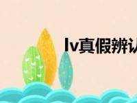 lv真假辨认（lv真假辨别图）