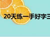 20天练一手好字三年级（20天练一手好字）