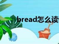 bread怎么读语音（bread怎么读）