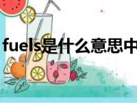 fuels是什么意思中文（fuel是什么意思中文）