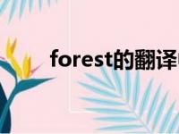 forest的翻译中文（forest的翻译）