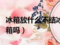 冰箱放什么不结冰最简单方法（干冰可以放冰箱吗）