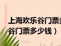 上海欢乐谷门票多少钱一张2023（上海欢乐谷门票多少钱）