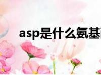 asp是什么氨基酸的缩写（asp是什么）