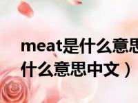 meat是什么意思中文翻译怎么读（meat是什么意思中文）