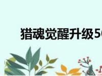 猎魂觉醒升级50攻略（猎魂觉醒升级）