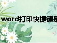 word打印快捷键是什么（word打印快捷键）