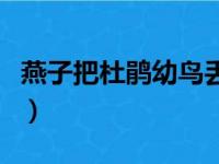 燕子把杜鹃幼鸟丢掉了（燕子把杜鹃幼鸟丢掉）