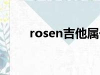 rosen吉他属于什么档次（rosen）