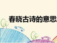 春晓古诗的意思解释（春晓古诗的意思）