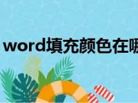 word填充颜色在哪里（word填充颜色在哪）