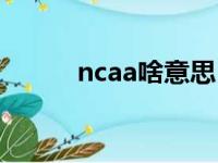 ncaa啥意思（ncaa是什么意思）