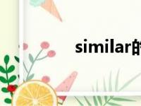 similar的名词（similar）