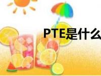 PTE是什么考试（pte是什么）