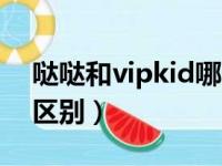 哒哒和vipkid哪个更好（哒哒英语和vipkid区别）