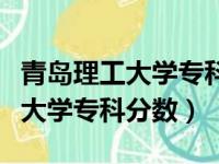 青岛理工大学专科分数线是多少分（青岛理工大学专科分数）