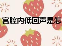 宫腔内低回声是怎么回事（回声是怎么回事）