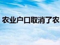 农业户口取消了农民怎么办（农业户口取消）