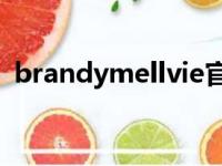 brandymellvie官网（BrandyNorwood）