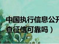 中国执行信息公开网查询个人信息（天下信用查征信可靠吗）