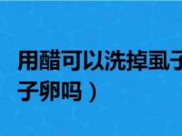 用醋可以洗掉虱子卵吗视频（用醋可以洗掉虱子卵吗）