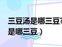 三豆汤是哪三豆?它的功效有哪些呢（三豆汤是哪三豆）