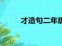 才造句二年级上册简单（才造句）