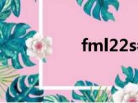 fml22s参数（fml22s）