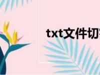 txt文件切割器（txt切割器）