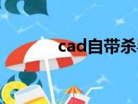 cad自带杀毒（cad杀毒软件）